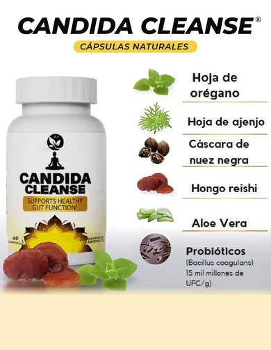 Imagen del carrusel