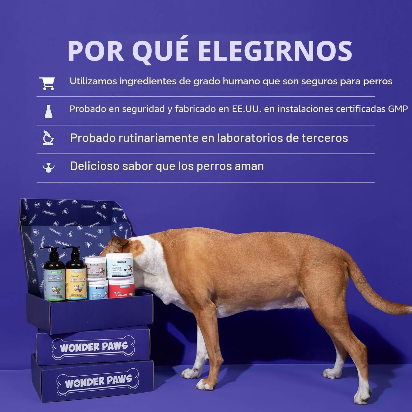 HONGO COLA DE PAVO [PV1-WHATSAPP-MAXTRENDSHOPS]