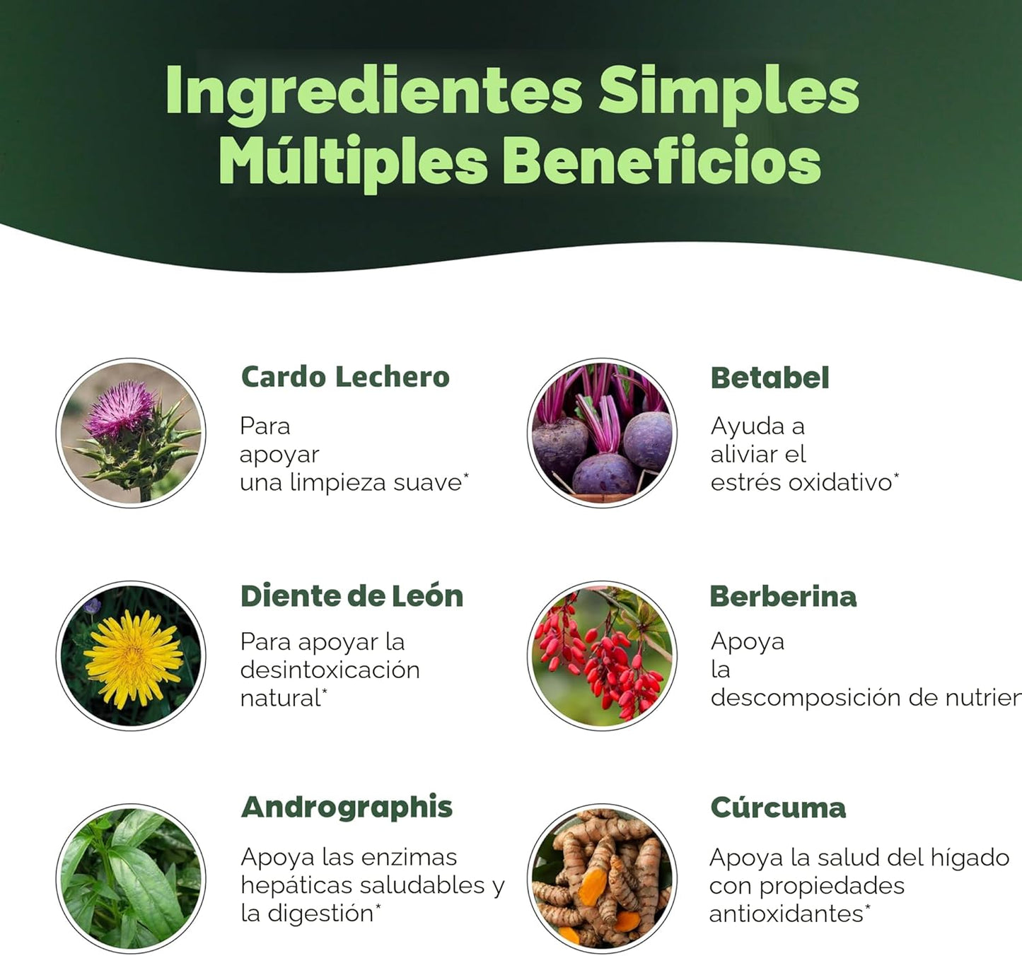 LIVER DETOX [PV1-WHATSAPP-MAXTRENDSHOPS]