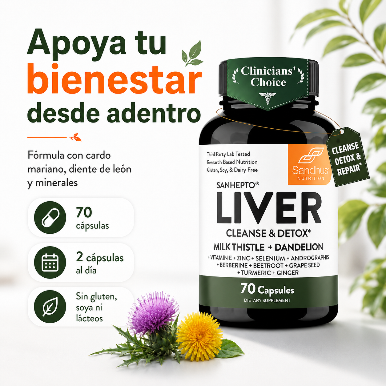 LIVER DETOX [PV1-WHATSAPP-MAXTRENDSHOPS]