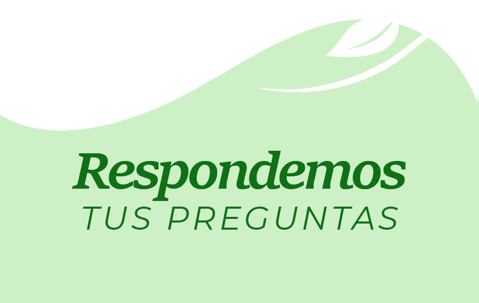 BLOOM GREENS SUPERFOOD [PV1-META-MAXTRENDSHOPS]