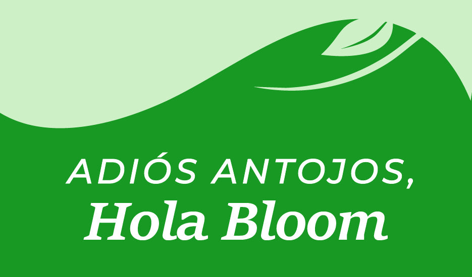 BLOOM GREENS SUPERFOOD [PV1-META-MAXTRENDSHOPS]