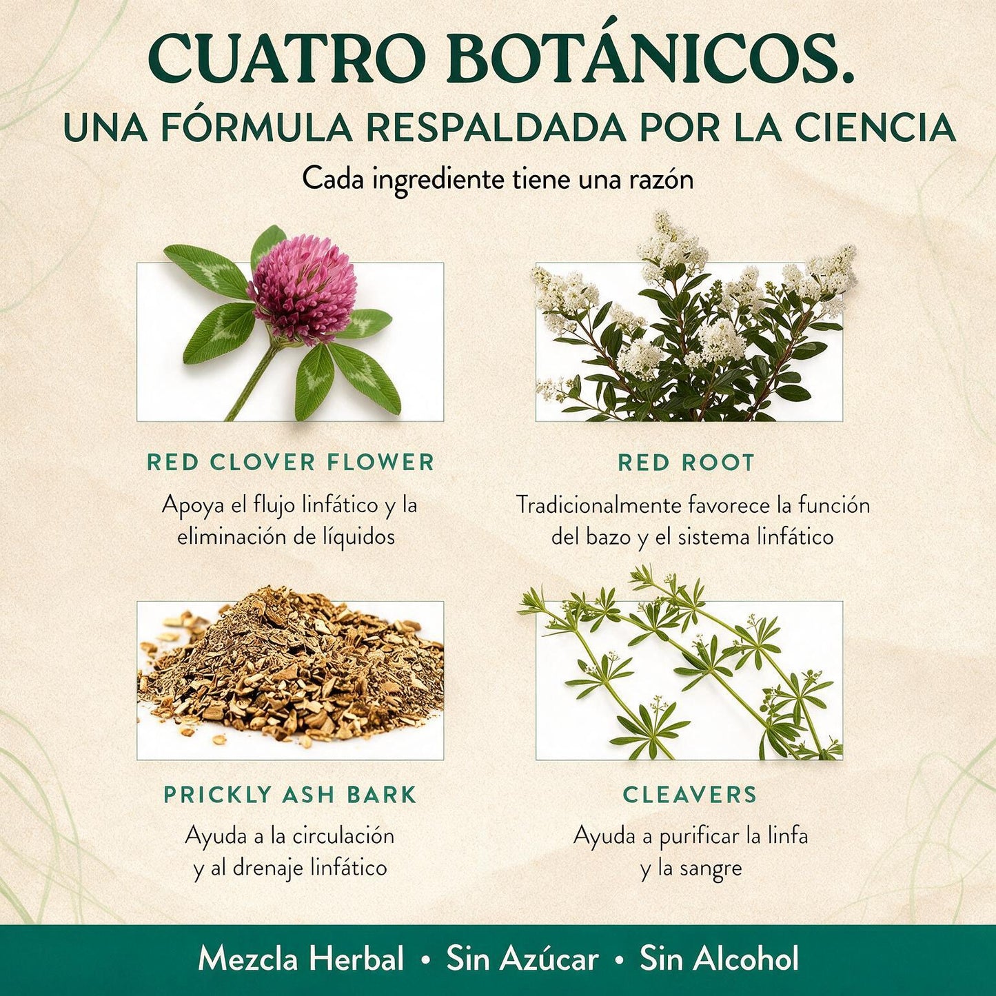 DETOX LINFATICO [PV1-WHATSAPP-MAXTRENDSHOPS]